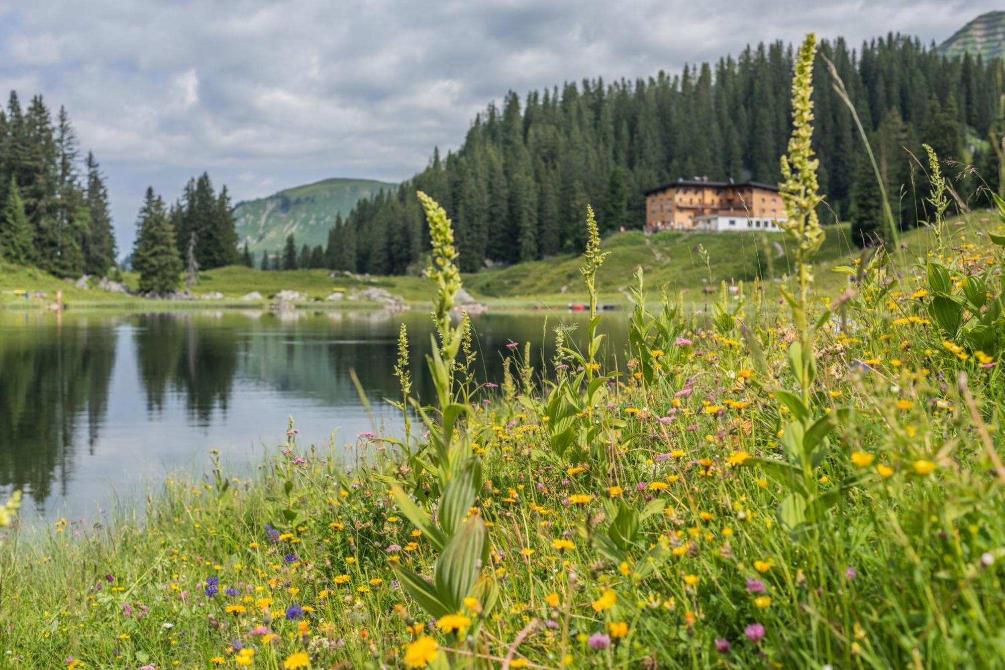 Hus23 With Wellness Apartment Schröcken Екстериор снимка